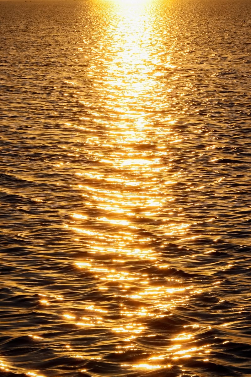 Peaceful Tranquility