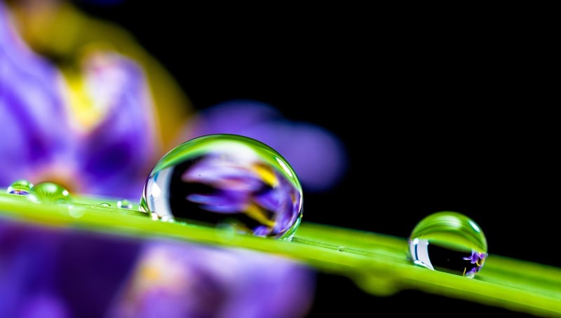 Persistent Reflections