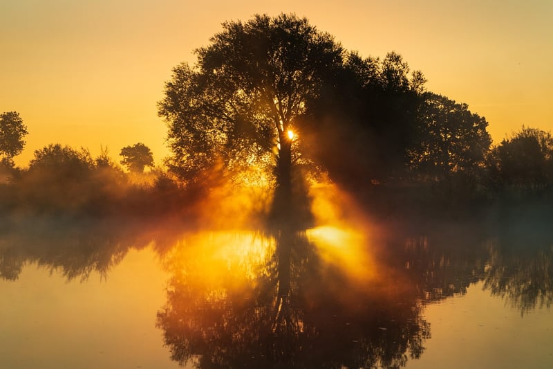 Sunrise